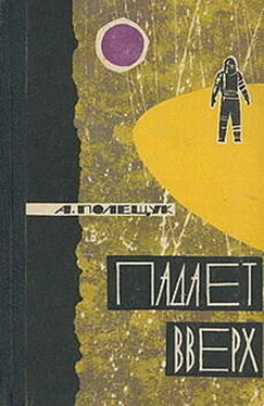Александр Полещук Падает вверх обложка книги