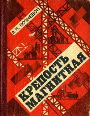 Александр Лозневой Крепость Магнитная обложка книги