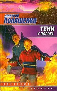 Дмитрий Поляшенко Тени у порога обложка книги