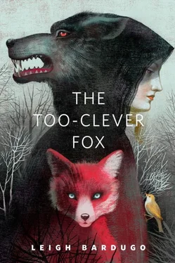 Leigh Bardugo The Too-Clever Fox обложка книги