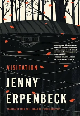 Jenny Erpenbeck Visitation обложка книги