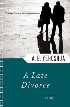 A. Yehoshua A Late Divorce обложка книги