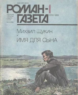 Михаил Щукин Имя для сына обложка книги