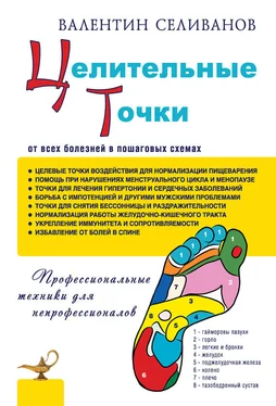 Валентин Селиванов Целительные точки от всех болезней в пошаговых схемах обложка книги