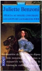 Juliette Benzoni - Felicia au soleil couchant