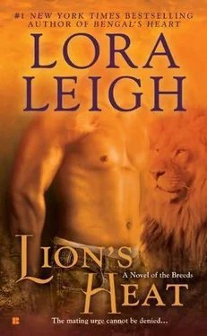 Lora Leigh Lion's Heat обложка книги