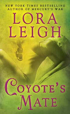 Lora Leigh Coyote's Mate обложка книги