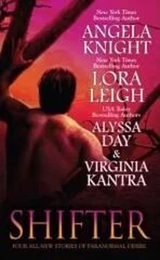 Lora Leigh A Jaguar's Kiss обложка книги