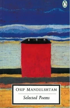 Osip Mandelshtam Selected Poems обложка книги