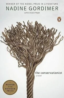 Nadine Gordimer The Conservationist обложка книги