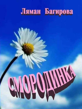 Ляман Багирова Смородинка (сборник) обложка книги