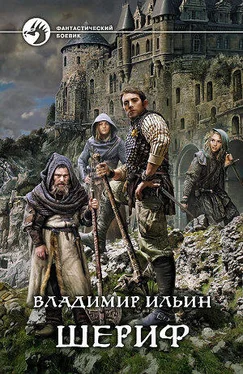 Владимир Ильин Шериф (СИ) обложка книги