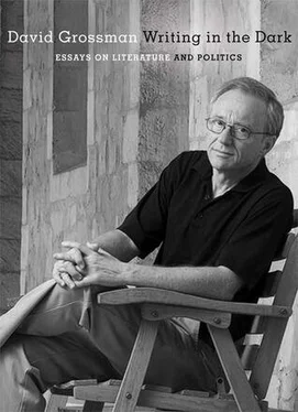 David Grossman Writing in the Dark: Essays on Literature and Politics обложка книги