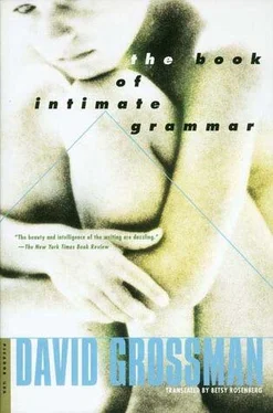 David Grossman The Book of Intimate Grammar обложка книги