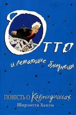 Шарлотта Хепти Отто и летающие близнецы. Повесть о Кармидийцах обложка книги