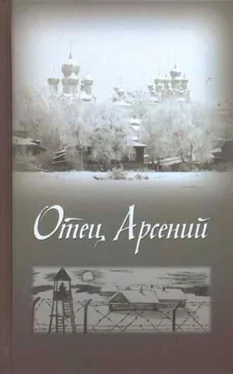 Сборник Отец Арсений обложка книги