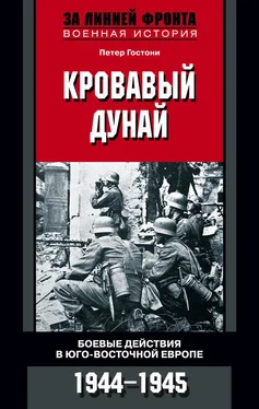 Петер Гостони Кровавый Дунай. Боевые действия в Юго-Восточной Европе. 1944-1945 обложка книги