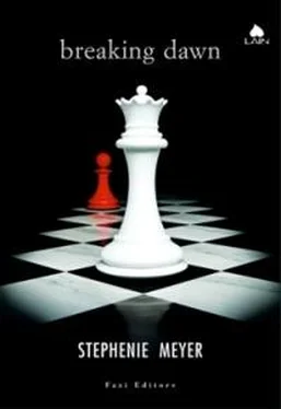 Stephenie Meyer Breaking Dawn обложка книги