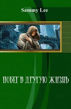 Unknown Побег в другую жизнь (СИ) обложка книги