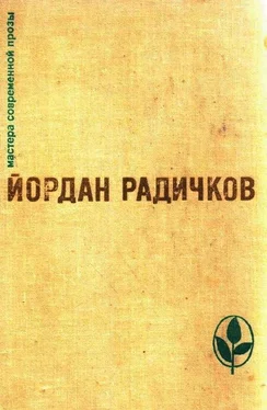 Йордан Радичков Избранное обложка книги