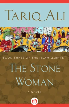 Tariq Ali The Stone Woman