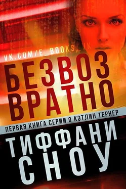 Тиффани Сноу Безвозвратно обложка книги