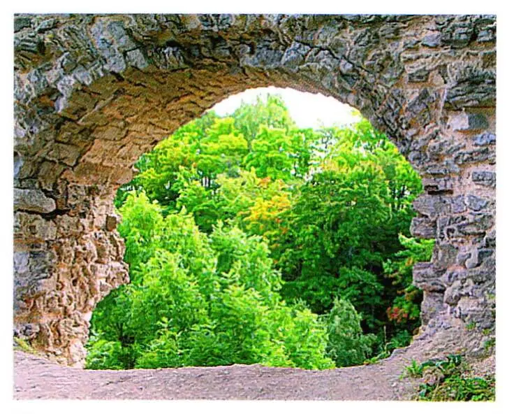 Копорская крепость Арка в южной стене Копорская крепость Внутристенная - фото 54