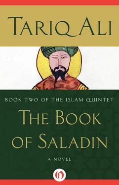 Tariq Ali The Book of Saladin обложка книги