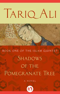 Tariq Ali Shadows of the Pomegranate Tree обложка книги