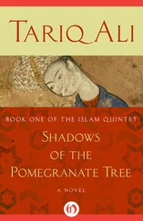 Tariq Ali - Shadows of the Pomegranate Tree