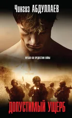 Чингиз Абдуллаев - Допустимый ущерб