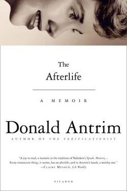 Donald Antrim The Afterlife: A Memoir обложка книги