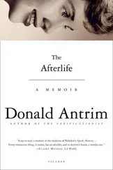 Donald Antrim - The Afterlife - A Memoir