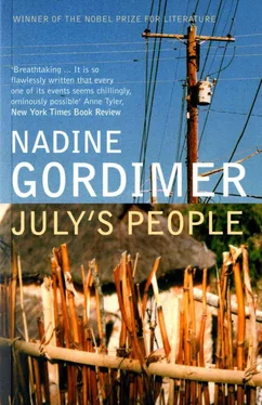 Nadine Gordimer July's People обложка книги