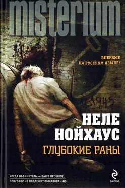 Неле Нойхаус Глубокие раны обложка книги