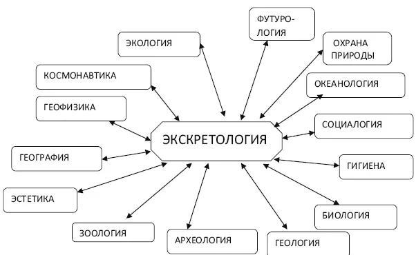 Рис 11 Схема связей экскретологии с другими науками В настоящее время - фото 1