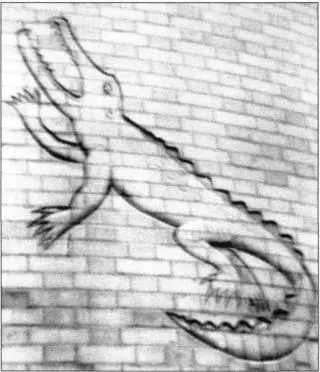 Peter Kapitzas crocodile on the Mond Laboratory at Cambridge Anna Kapitza who - фото 26