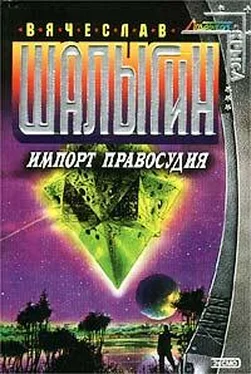 Вячеслав Шалыгин Импорт правосудия обложка книги