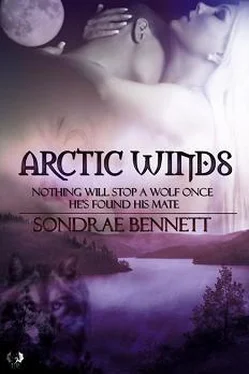 Sondrae Bennett Arctic Winds обложка книги