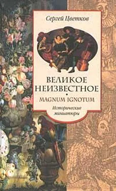 Сергей Цветков Великое неизвестное обложка книги