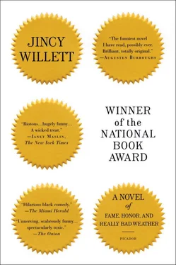 Jincy Willett Winner of the National Book Award обложка книги