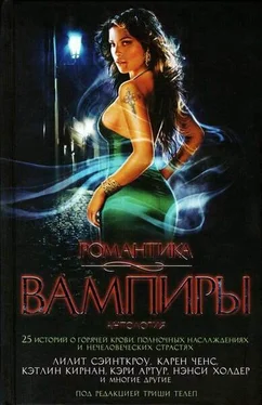 Шерри Эрвин Слияние с тьмой обложка книги