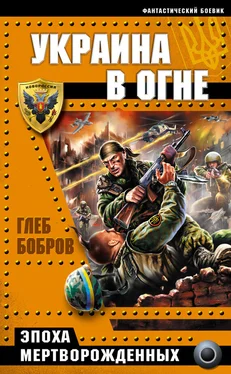 Глеб Бобров Украина в огне обложка книги