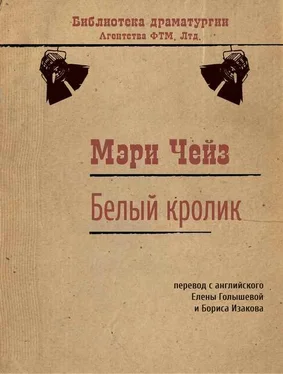 Мэри Чейз Белый кролик обложка книги