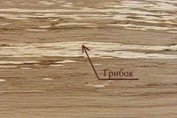 Рис 71 Домовой грибок на древесине 54 - фото 75