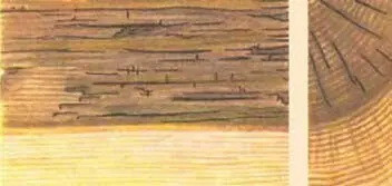 Рис 74 Бурая гниль 58 httpwwwreznoeruarticles20131php 1 БУРАЯ - фото 78