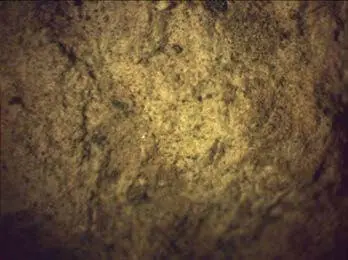 Рис 96 Образец 3 Известняк образец 3 кристаллический мелкозернистый - фото 100