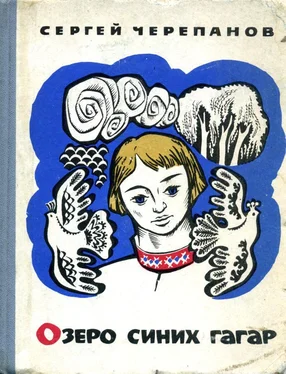 Сергей Черепанов Озеро синих гагар обложка книги