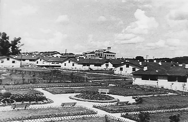 В конце 1937 года арестовали директора фибролитового завода НЕ Малахова - фото 106