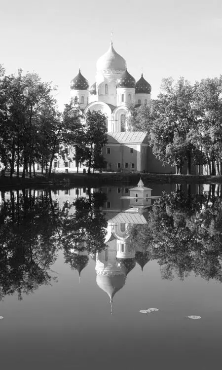 В лесу осеннем тишина Необычайна В ней будто бы заключена От века тайна И - фото 109